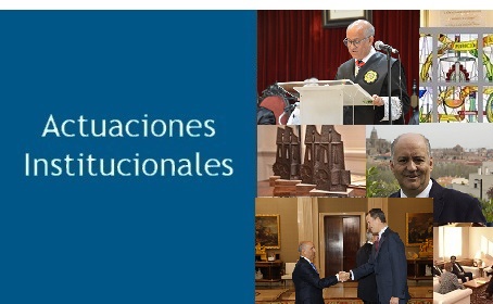 Actuaciones Institucionales